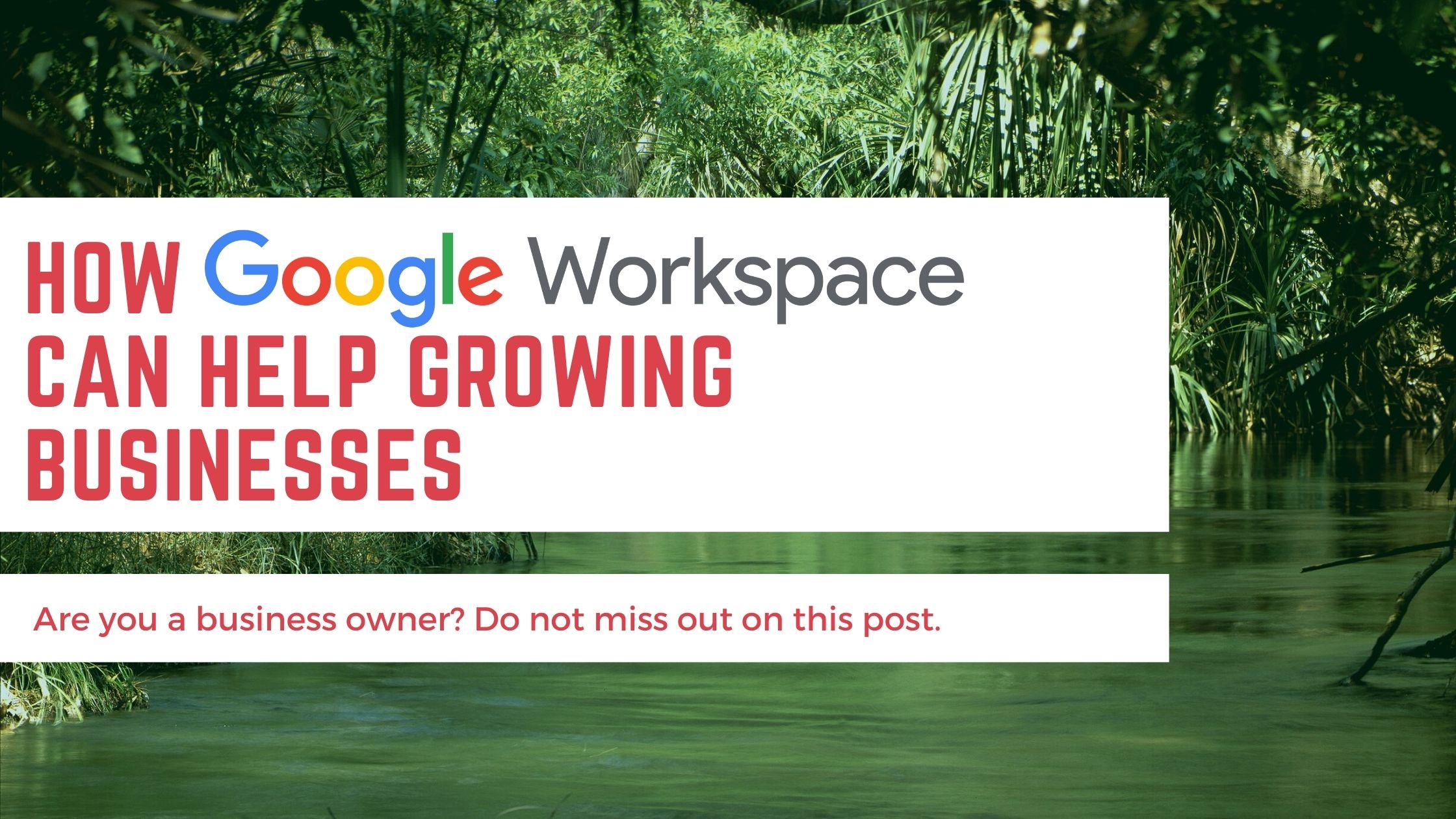 Google Workspace for Growing Businesses
